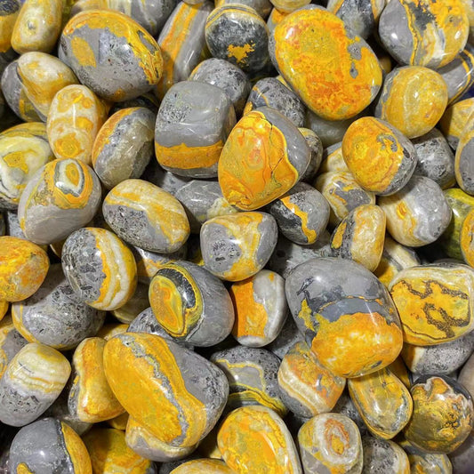 Bumble bee jasper tumble